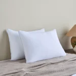 Essential Set of 2 pillow 45x70
