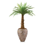 Phoenix reobilinni Palm